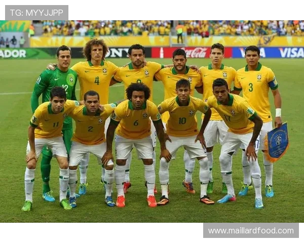 西安排球队灵活性展现联合会杯精彩表现分析